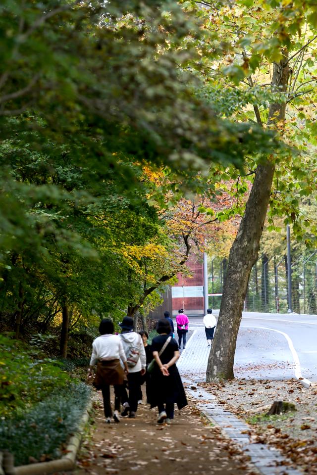 Visitors walk along a trail at Seoul Grand Park in Gwacheon Gyeonggi Province on Oct 30 2024 AJP Kim Dong-woo