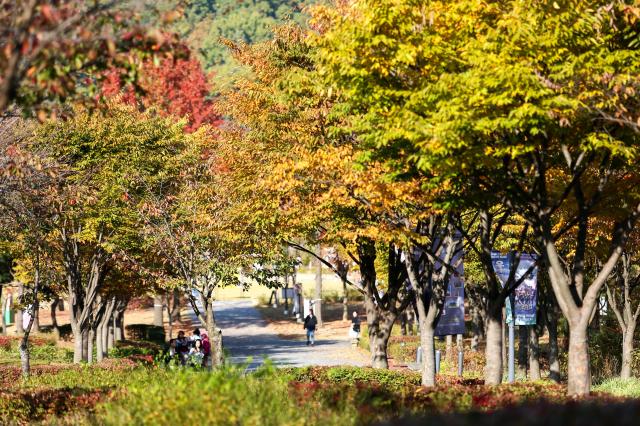 Visitors walk along a trail at Seoul Grand Park in Gwacheon Gyeonggi Province on Oct 30 2024 AJP Kim Dong-woo