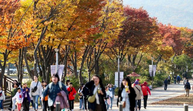 Visitors walk along a trail at Seoul Grand Park in Gwacheon Gyeonggi Province on Oct 30 2024 AJP Kim Dong-woo