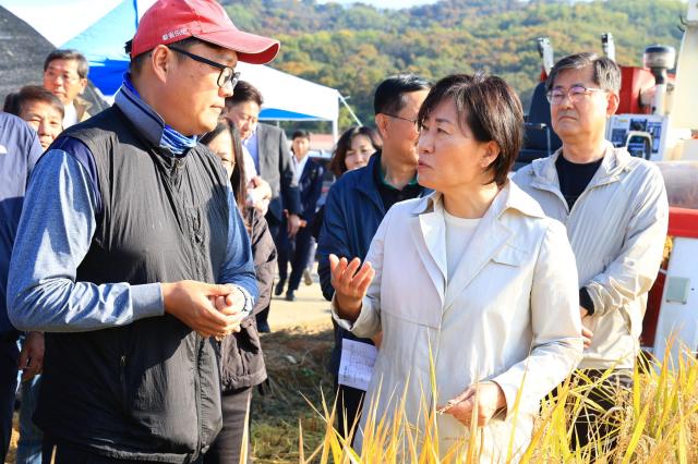 농식품부 송미령 장관은 3일 오후 충북 청주 벼 수확 현장을 쌀전업농중앙연합회회장 조희성 들녘경영체중앙연합회회장 장수용 한국후계농업경영인중앙연합회회장 최흥식 등 농업인단체와 함께 둘러보며 벼 작황 품질에 대한 현장의견을 꼼꼼하게 경청하였다 