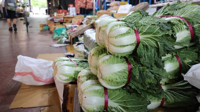 先月の韓国消費者物価1.3%上昇···3か月連続１％台の上昇率