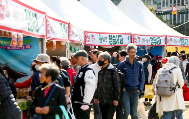 The Gyeongbuk Apple Festival takes place at Seoul Plaza on Nov 5 2024 AJP Kim Dong-woo