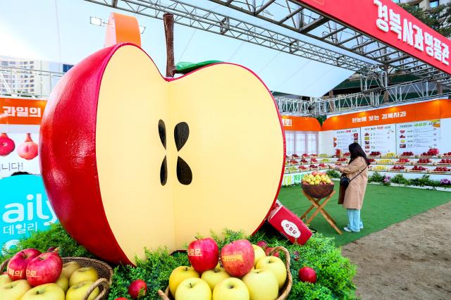 A visitor takes a photo at the Gyeongbuk Apple Festival at Seoul Plaza on Nov 5 2024 AJP Kim Dong-woo