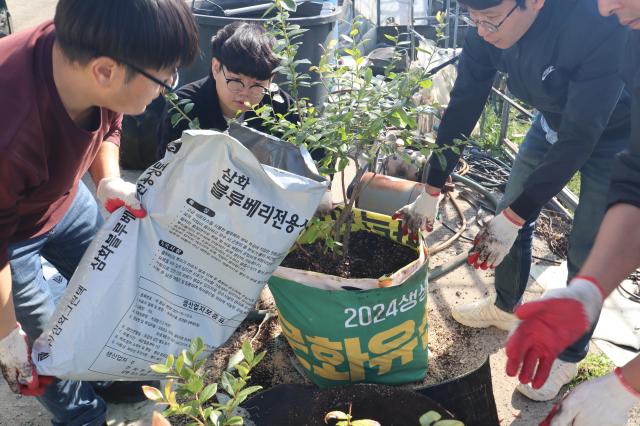 담양군은 폐현수막을 농작물 화분으로 만들어 농가에 나눠줬다사진담양군