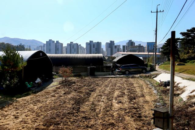 Apartment complexes are seen behind a greenbelt area in Seocho-gu Seoul on Nov 7 2024 AJP Kim Dong-woo