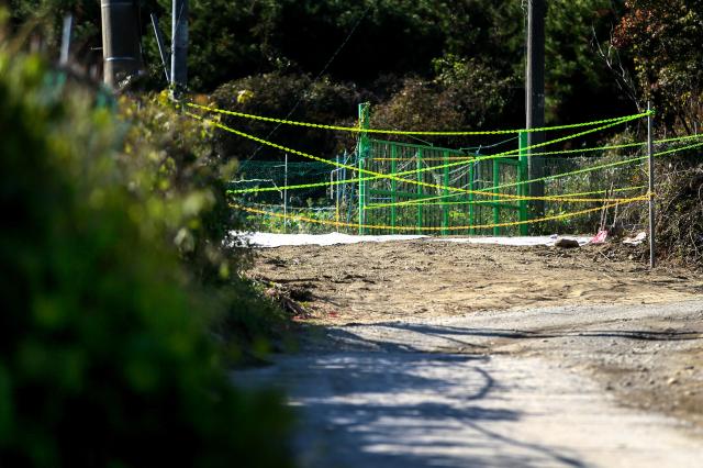 A view of a greenbelt area in Seocho-gu Seoul on Nov 7 2024 AJP Kim Dong-woo