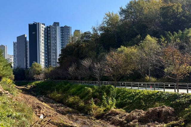 Apartment complexes are seen behind a greenbelt area in Seocho-gu Seoul on Nov 7 2024 AJP Kim Dong-woo