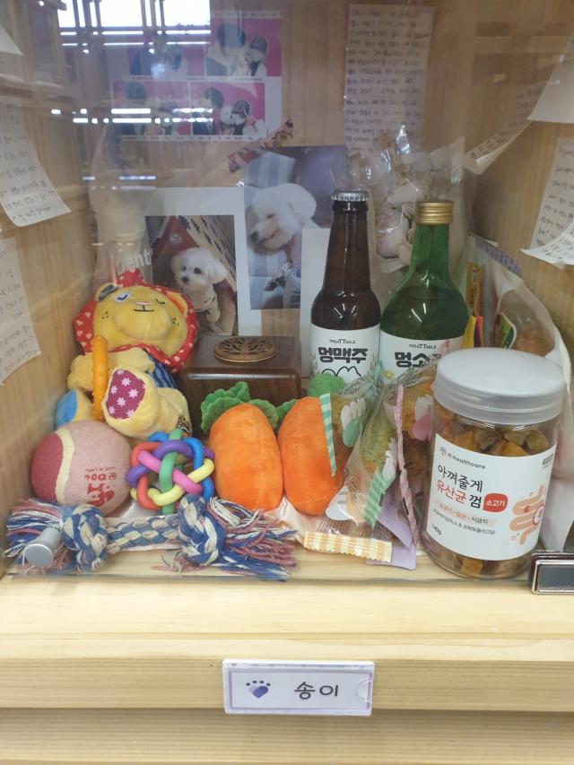 This photo shows an ossuary of a white dog decorated with pictures snacks and toys Oct 19 2024 AJP Kim Dong-young