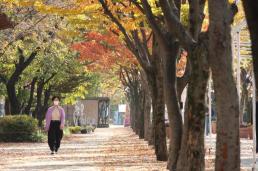 [날씨] 전국 대체로 맑고 일교차 커…낮 20도까지 올라