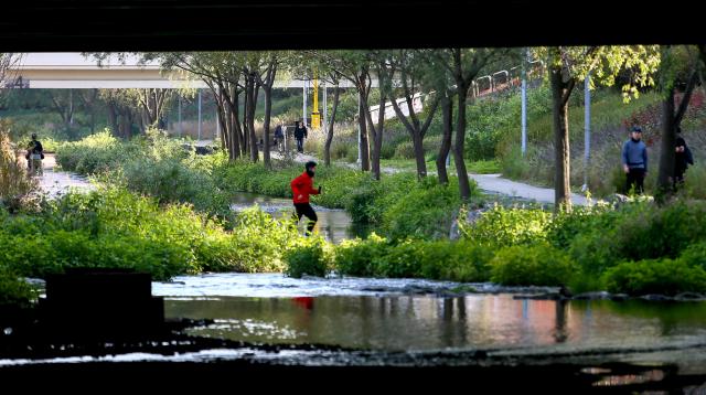 Visitors stroll through the park during the opening ceremony of Segokcheon Waterfront Vitality Base in Gangnam-gu Seoul on Nov 11 2024 AJP Kim Dong-woo