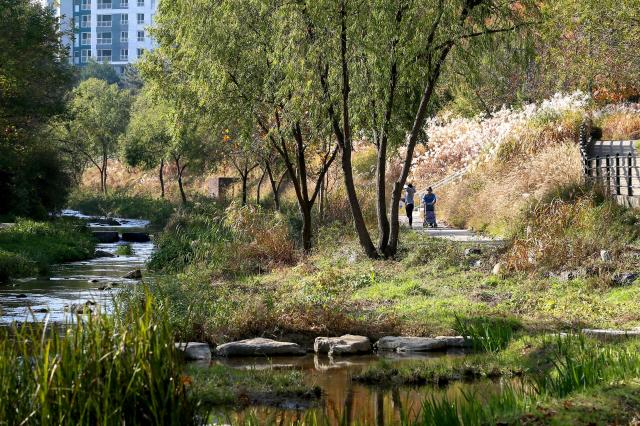 Visitors stroll through the park during the opening ceremony of Segokcheon Waterfront Vitality Base in Gangnam-gu Seoul on Nov 11 2024 AJP Kim Dong-woo