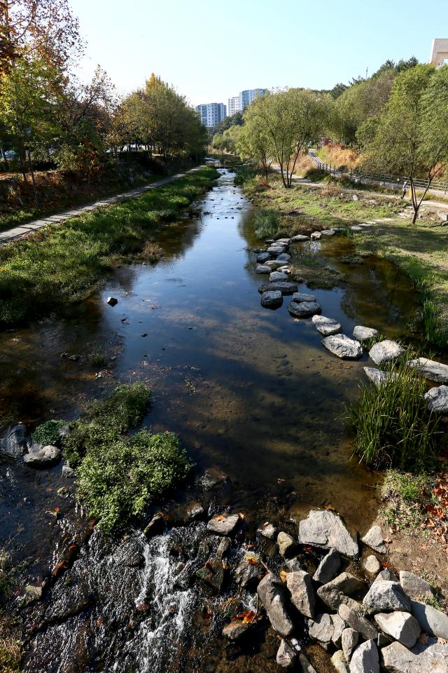 A view of the newly opened Segokcheon Waterfront Vitality Base in Gangnam-gu Seoul on Nov 11 2024 AJP Kim Dong-woo
