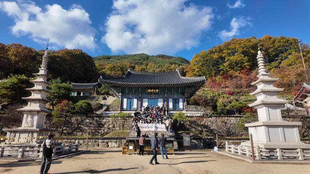 용문사 앞에서 기념 사진을 찍고 있는 여기로 기차여행 관광객들 사진김다이 기자