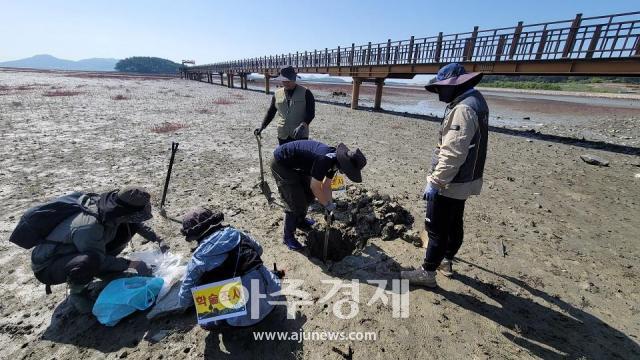 신안군 증도면 증도 갯벌 토양 코어 시료 채취 현장사진신안군