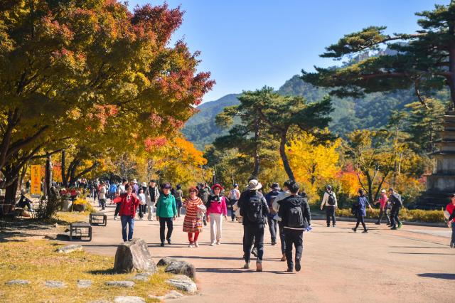 올해 설악산을 찾은 방문객들 사진속초시