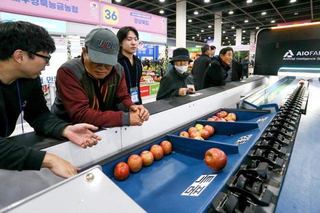 A visitor listens to an exhibitors explanation at the Korea Fruit Industry Exhibition 2024 at aT Center in Seoul on Nov 21 2024 AJP Kim Dong-woo