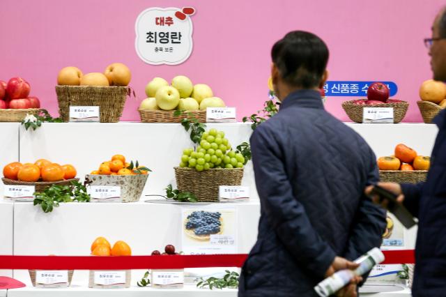 Visitors browse fruit displays at the Korea Fruit Industry Exhibition 2024 at aT Center in Seoul on Nov 21 2024 AJP Kim Dong-woo