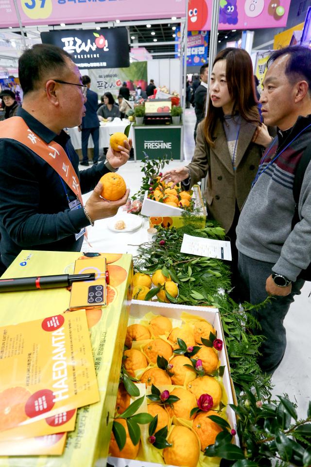 Visitors browse fruit displays at the Korea Fruit Industry Exhibition 2024 at aT Center in Seoul on Nov 21 2024 AJP Kim Dong-woo