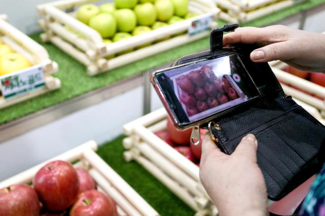 A visitor takes a photo at the Korea Fruit Industry Exhibition 2024 at aT Center in Seoul on Nov 21 2024 AJP Kim Dong-woo