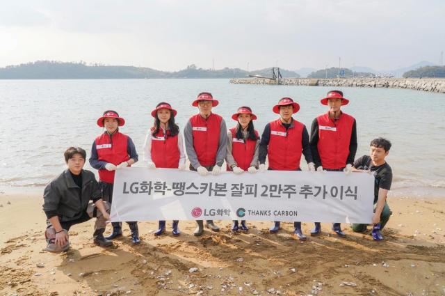 LG화학은 25일 땡스카본과 협력하여 여수 대경도 바다에 잘피 2만 주를 추가로 이식했다 사진LG화학 여수공장