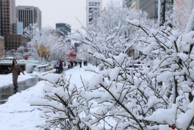 【亚洲人之声】 韩国初雪如约而至 韩剧经典"初雪梗"再掀期待