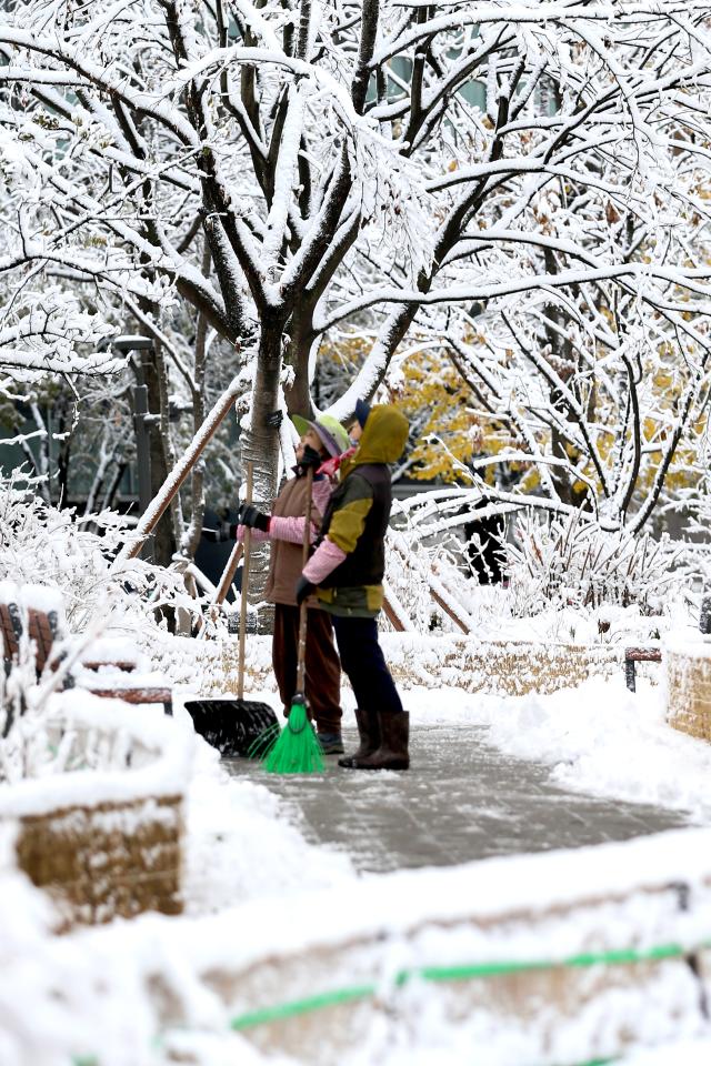 Citizens look at snow-covered trees in Seoul on Nov 27 2024 AJP Kim Dong-woo