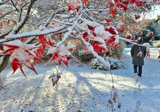 ソウル11月に「大雪」…117年ぶりに過去最多の雪が積もった