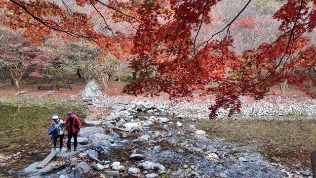 순창 강천산 계곡