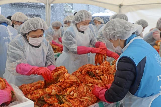 자생한방병원 임직원들과 자생봉사단원들이 폭설 속에서도 김장김치를 담그고 있다 사진자생한방병원