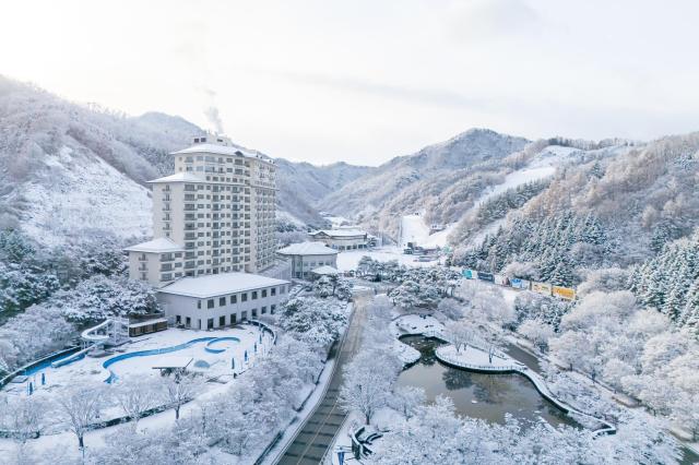 사진엘리시안 강촌