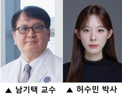 연세대 의대, 간세포서 세포사멸 조절하는 새로운 바이오마커 규명