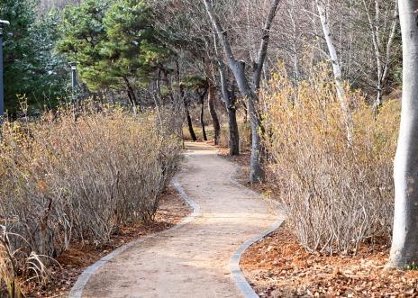 파주 월롱산 시민공원 맨발 산책로사진파주시