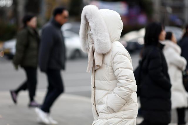 [내일 날씨] 절기상 대설…춥고 남부지방 중심 눈·비