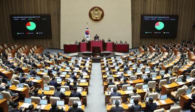 내란 상설특검 수사요구안, 국회 본회의 통과