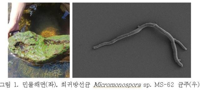 사진국립낙동강생물자원관