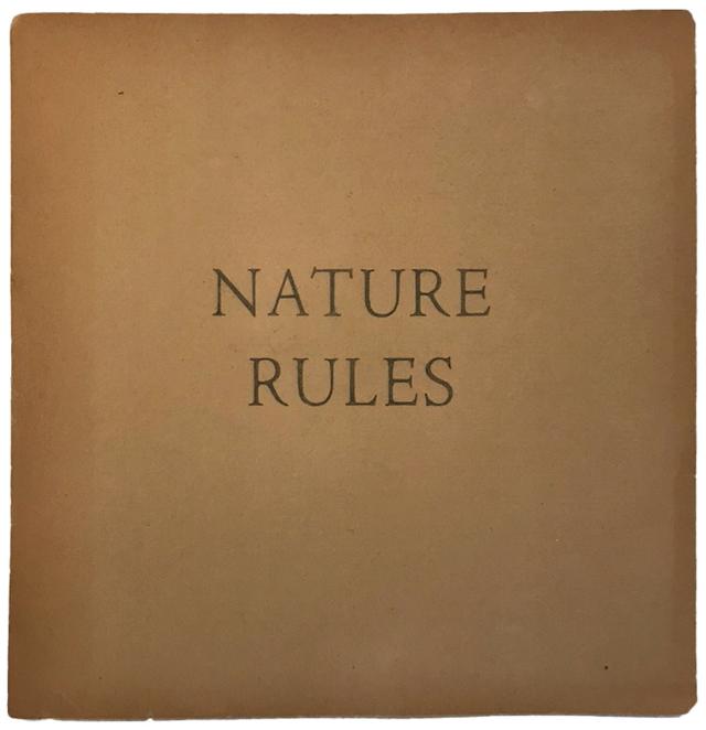 최재은b 1953 Nature Rules〉2023 이미지국제갤러리