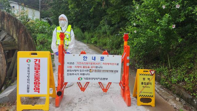 안동시 아프리카돼지열병 방역 통제 초소 사진경상북도