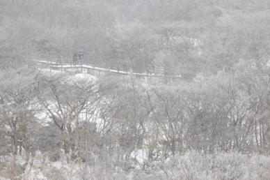 [포토] 겨울왕국 한라산