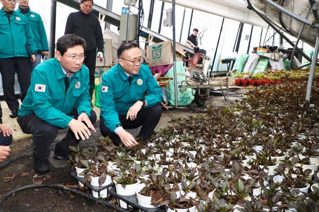 이상일 시장왼쪽이 이한경 행안부 차관과 폭설 피해 남사읍 진목리 화훼농가 현장을 확인하고 있다사진용인시