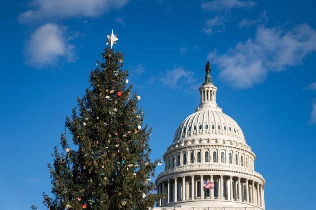 A Christmas tree is seen outside the US Capitol in Washington DC on Dec 6 2024 AFP-Yonhap