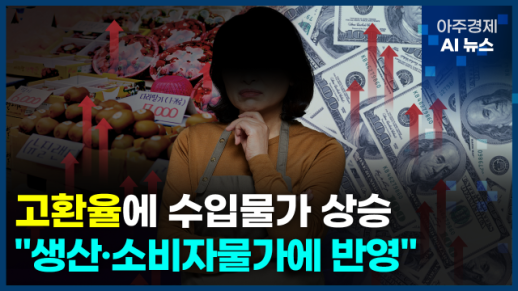 [아주경제 AI뉴스] 2024년 12월 20일 주요 뉴스(단신 1, 2)