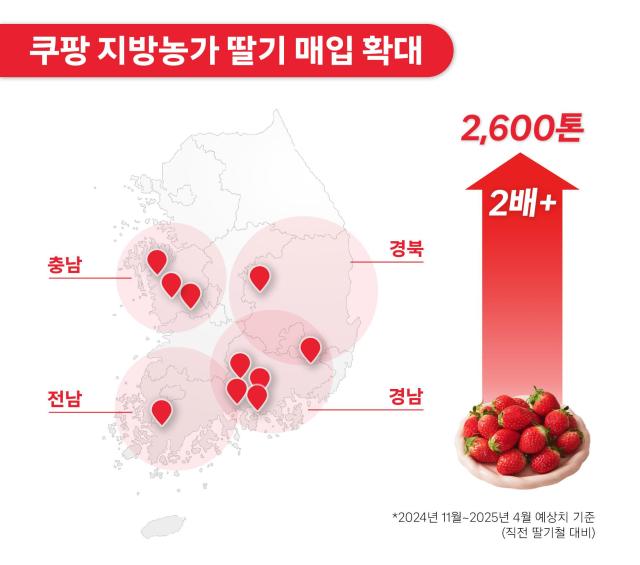 쿠팡이 올해 딸기철을 맞아 역대 최대 규모의 딸기를 지방 산지에서 매입하기로 했다 사진쿠팡