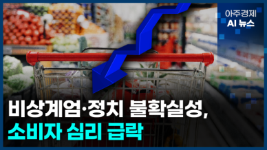 [아주경제 AI뉴스] 2024년 12월 24일 주요 뉴스(단신 1, 2)
