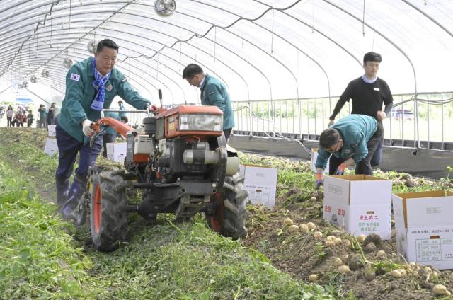 최영일 순창군수맨 왼쪽가 감자 재배농가를 찾아 농기계를 통해 수확을 돕고 있다사진순창군