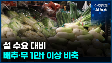 [아주경제 AI뉴스] 2024년 12월 27일 주요 뉴스(단신 1, 2)