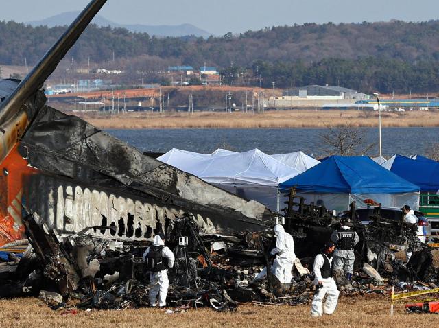 济州航空事故引发全国哀悼 集会和年末活动按下"暂停键"