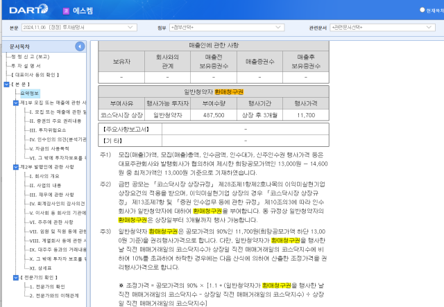 에스켐 투자설명서 사진금융감독원 전자공시 시스템