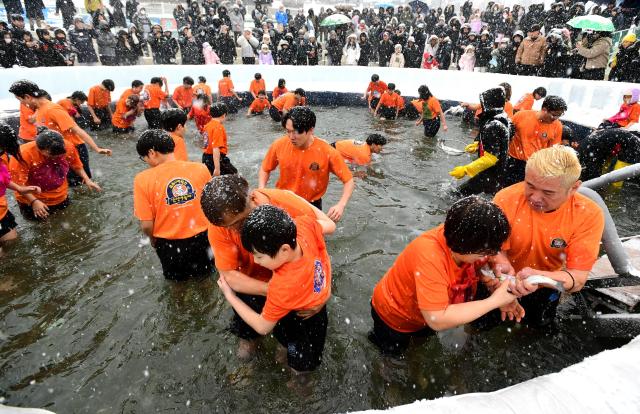 화천산천어축제 맨손잡기체험사진화천군