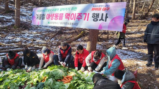 대구시는 겨울철 먹이 부족에 처한 야생동물들이 안전하게 겨울을 보낼 수 있도록 야생동물 먹이주기 행사를 실시한다 사진대구시