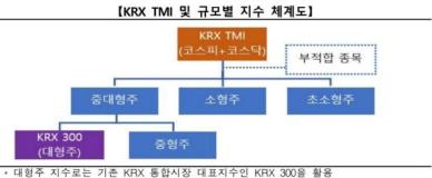 한국거래소, 코스피·코스닥 통합지수 KRX TMI 13일 발표